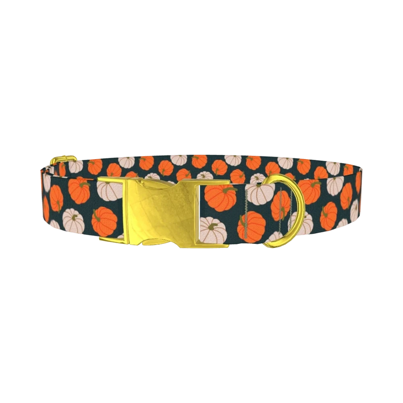 Pumpkin Patch Dog Collar - metal gold