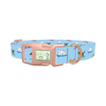Surfing Dogs Blue Dog Collar - plastic rose gold