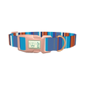 Orange Blue Stripes Dog Collar - plastic rose gold