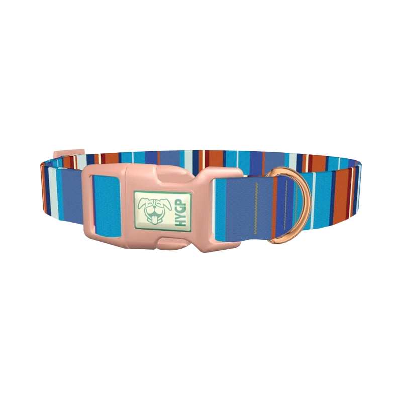Orange Blue Stripes Dog Collar - plastic rose gold