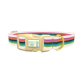 Multicolor Stripe Dog Collar - plastic gold