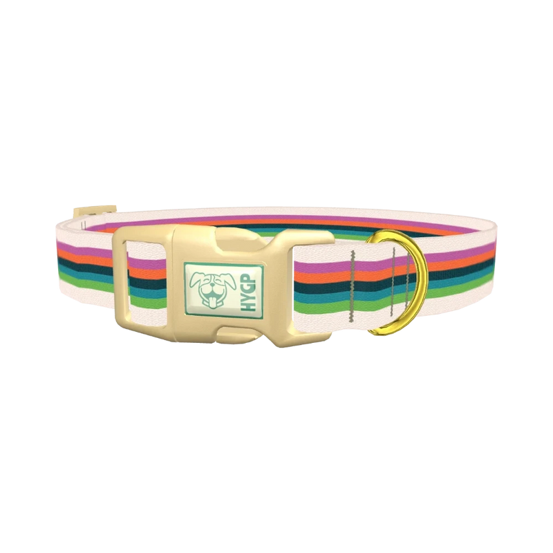 Multicolor Stripe Dog Collar - plastic gold