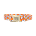 Halloween Pumpkin Stripe Dog Collar - plastic rose gold
