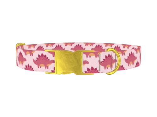 DINOSAUR10_Pink