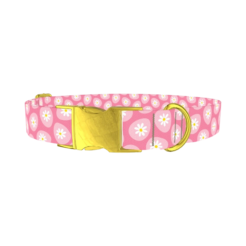 Easter Egg Daisy Dog Collar - metal gold