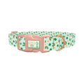 St. Patrick's Day Rainbow Dog Collar - plastic rose gold