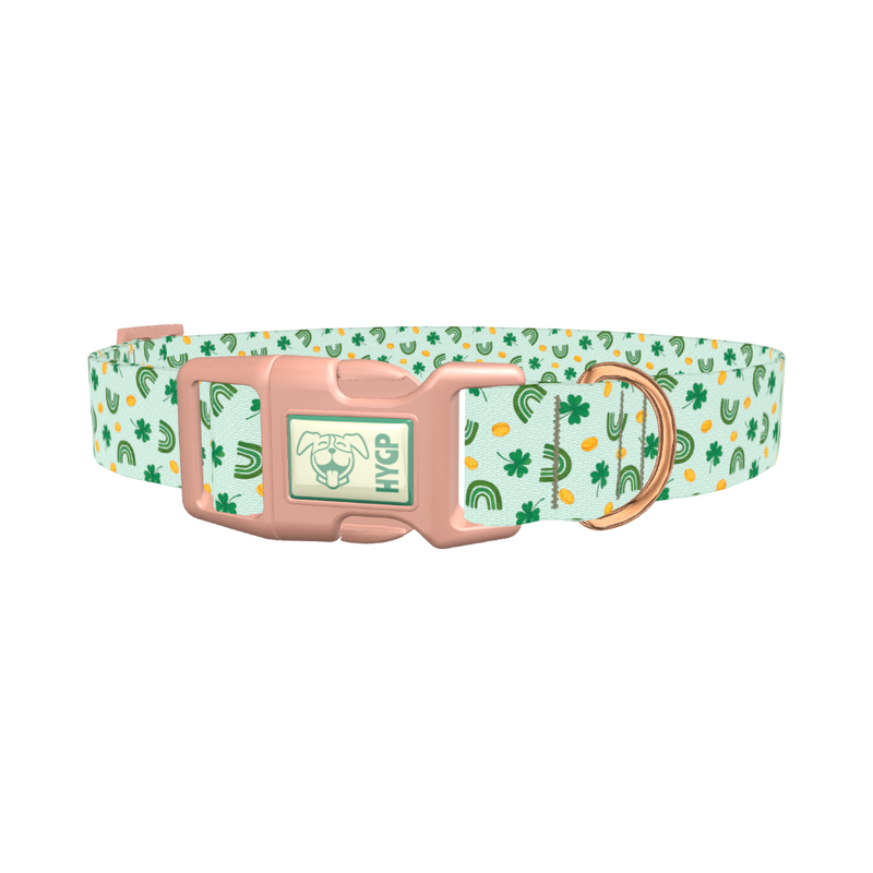 St. Patrick's Day Rainbow Dog Collar - plastic rose gold