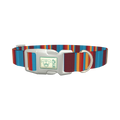 Colorful Stripe Dog Collar - plastic silver