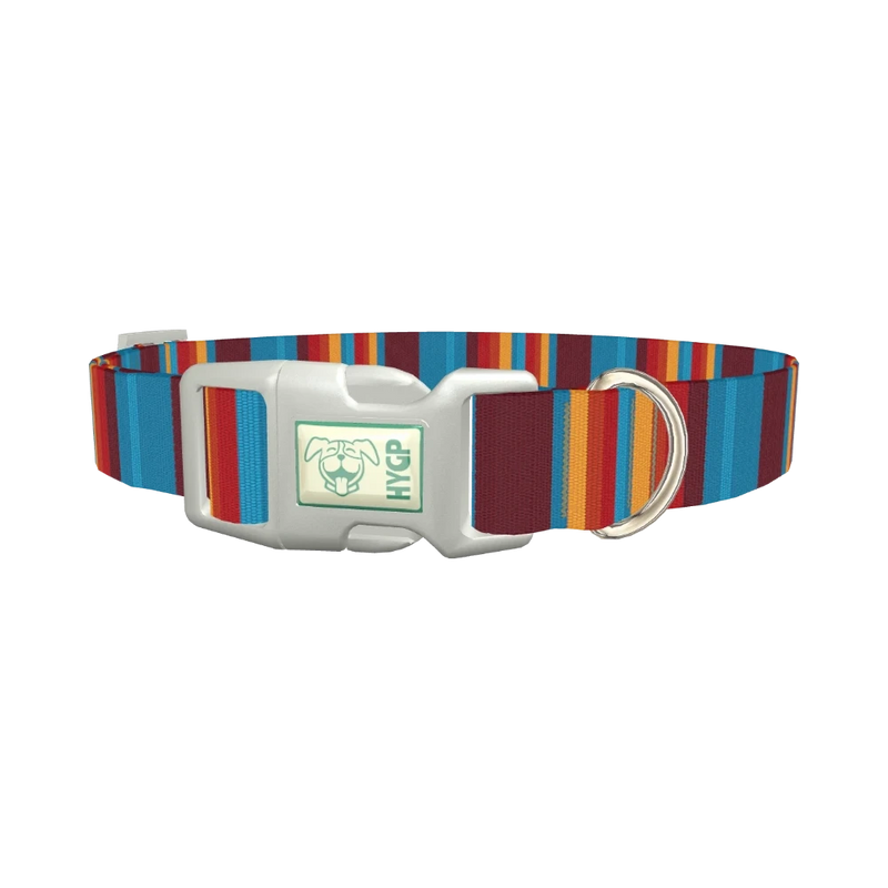 Colorful Stripe Dog Collar - plastic silver