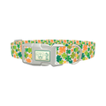 Multicolor Clover Dog Collar - plastic silver