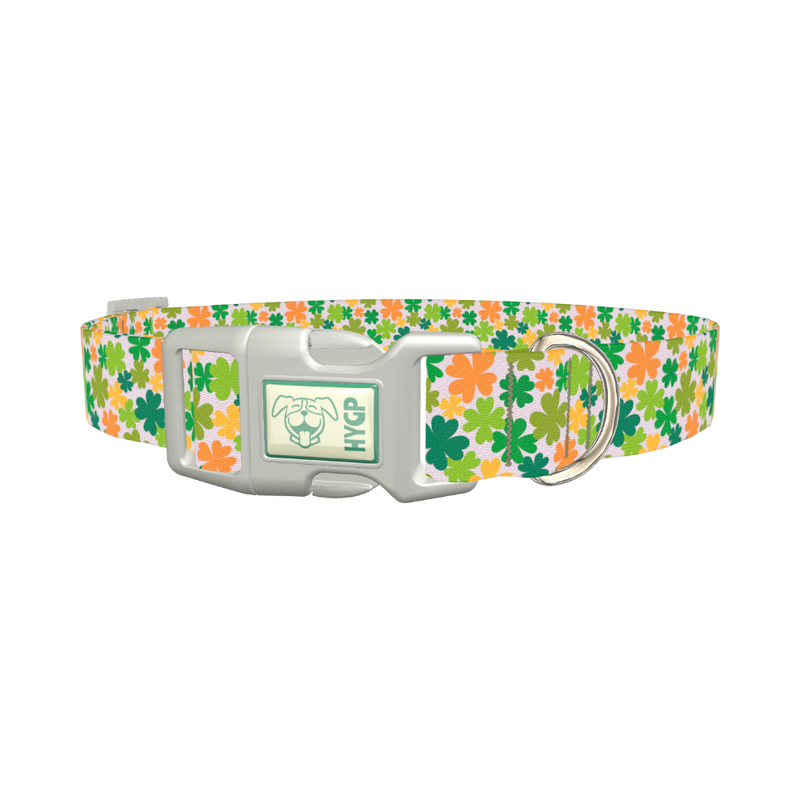 Multicolor Clover Dog Collar - plastic silver
