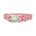 Bacon Pattern Dog Collar - plastic silver