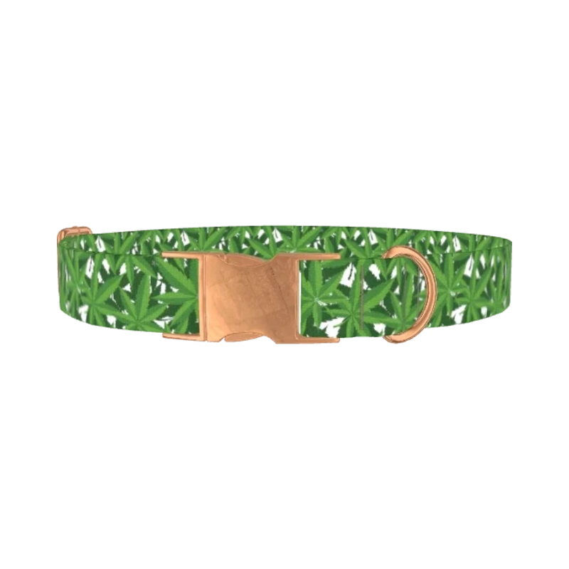 Leaf Pattern Dog Collar - metal rose gold