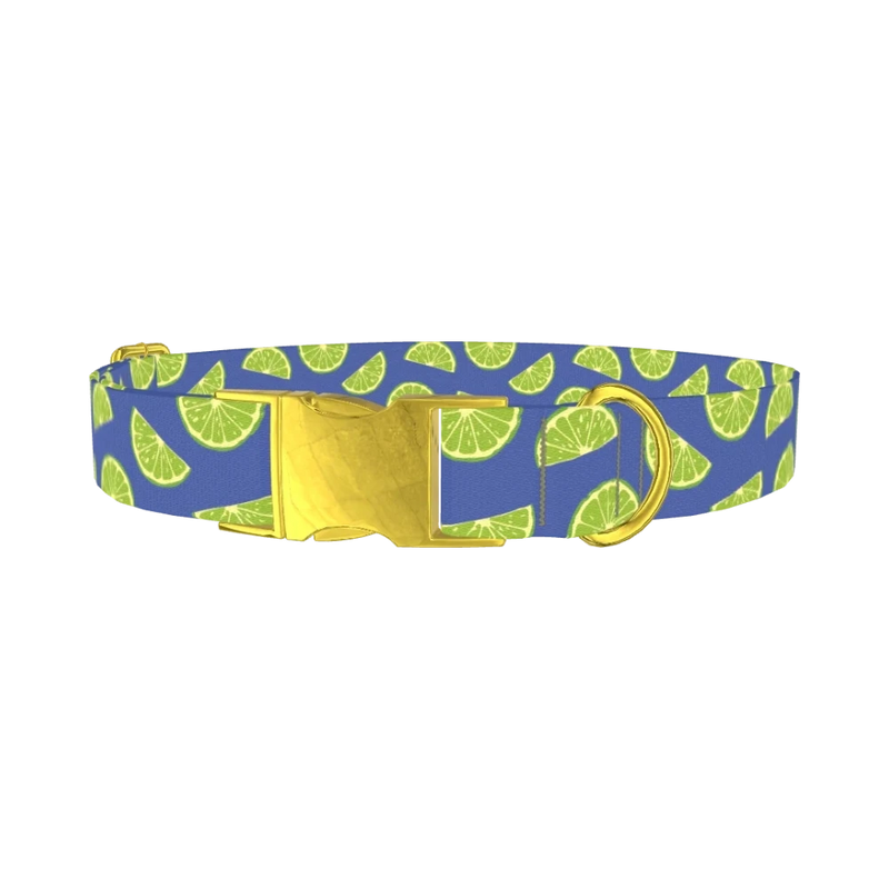 Lime Fruit Dog Collar - metal gold