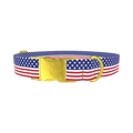Patriotic Stars Dog Collar - metal gold