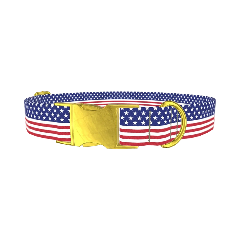 Patriotic Stars Dog Collar - metal gold