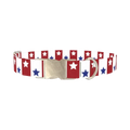 Bicolor Star Dog Collar - metal silver