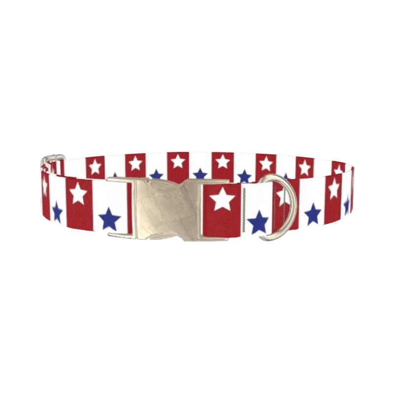 Bicolor Star Dog Collar - metal silver