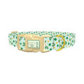 St. Patrick's Day Rainbow Dog Collar - plastic gold