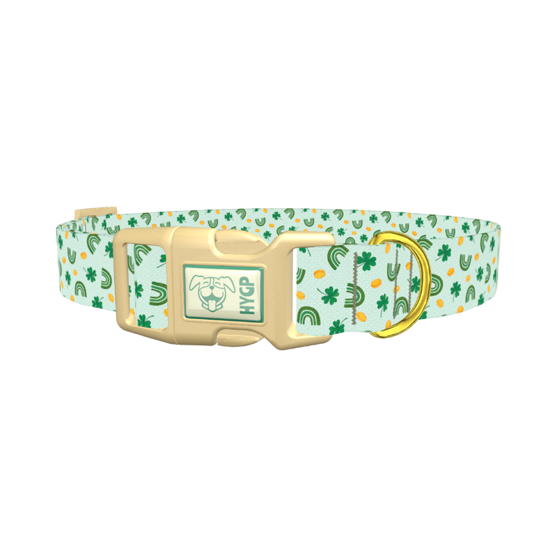 St. Patrick's Day Rainbow Dog Collar - plastic gold
