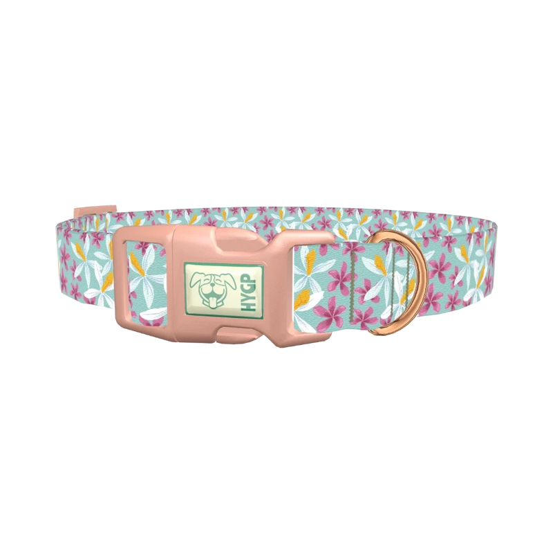 Tropical Orchid Dog Collar - plastic rose gold