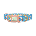 Summer Pool Dog Collar - plastic rose gold
