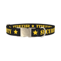 Security Star Dog Collar - metal silver