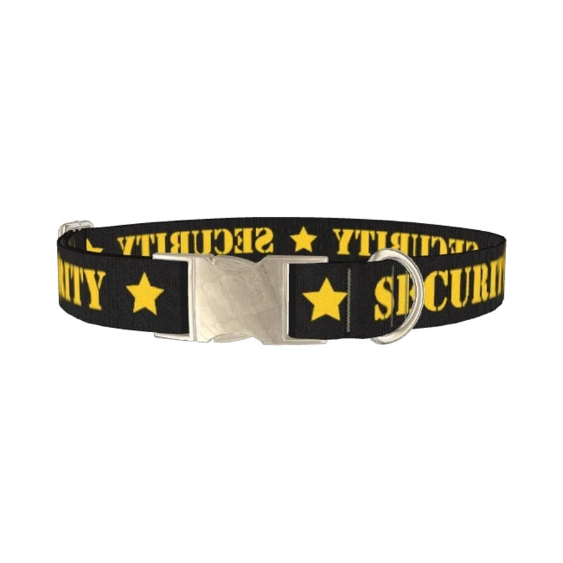 Security Star Dog Collar - metal silver