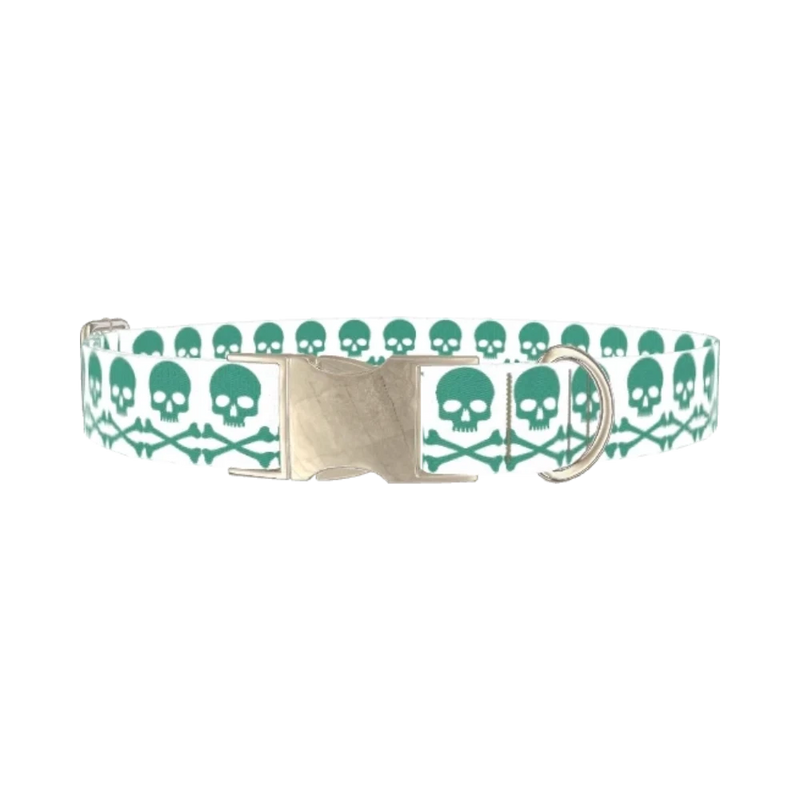 Skull and Crossbones Dog Collar - metal silver