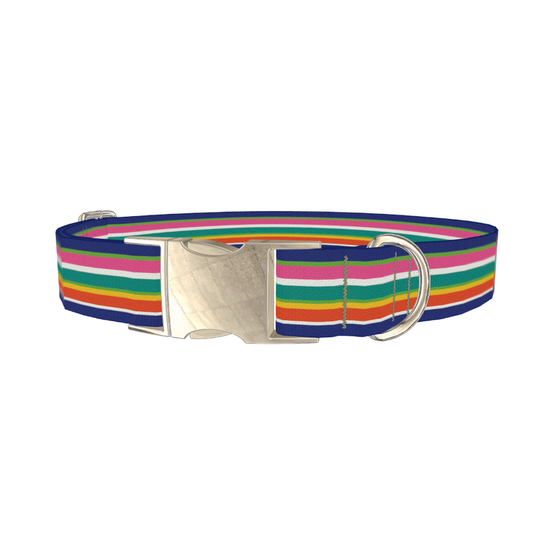 Rainbow Stripes Dog Collar - metal silver