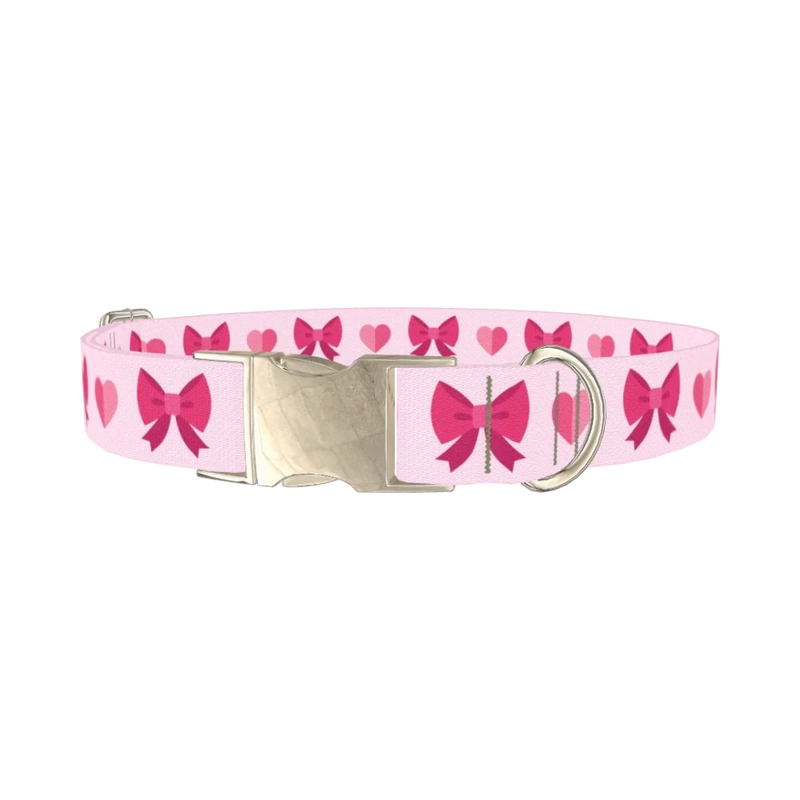 Ribbon Heart Dog Collar - metal silver