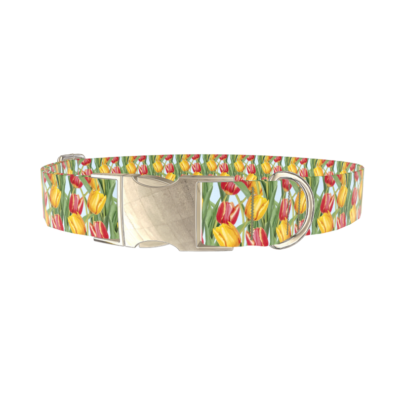 Red Yellow Tulip Dog Collar - metal silver