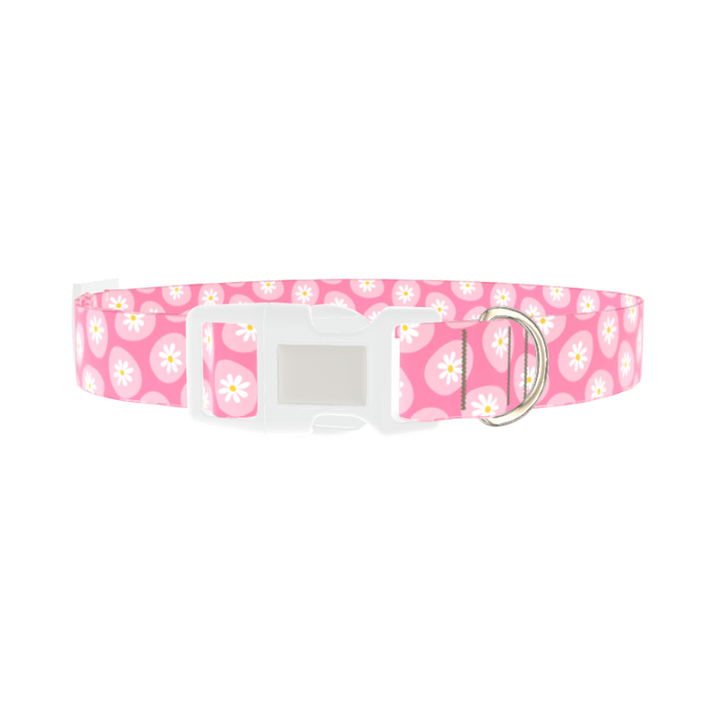 Easter Egg Daisy Dog Collar - plastic silver