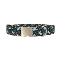Space Astronaut Dog Collar - metal silver