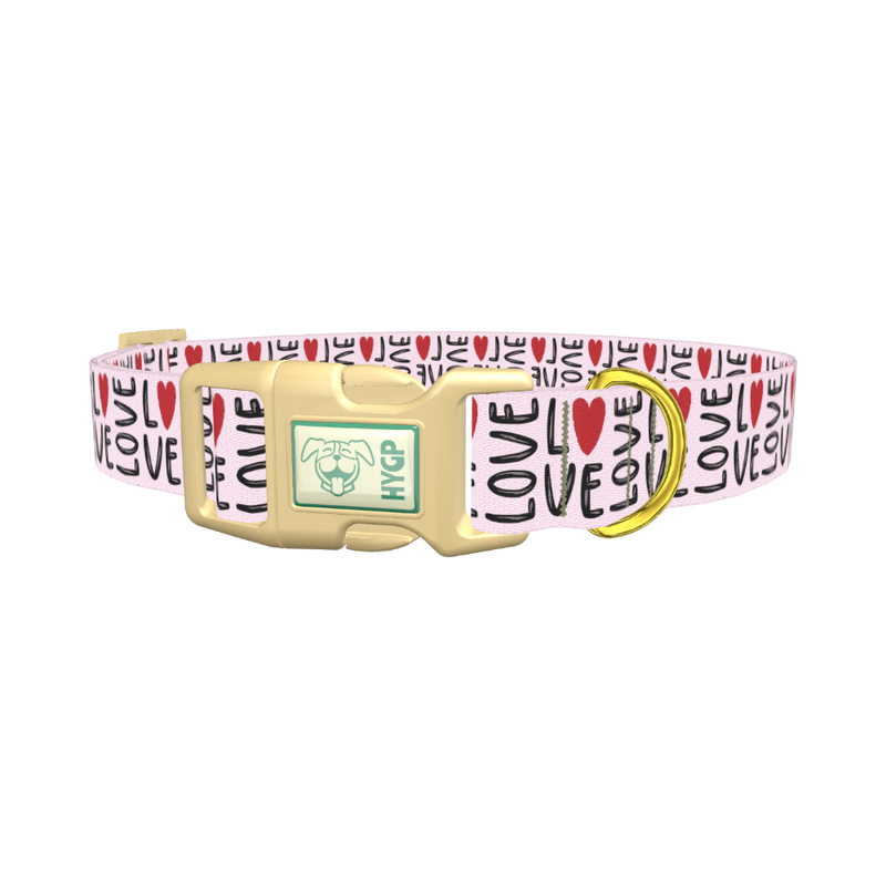 Love Heart Dog Collar - plastic gold