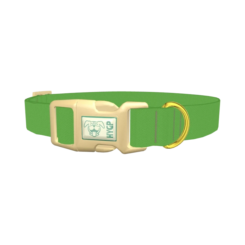 Lost Golfer Color Dog Collar - plastic gold