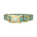 Christmas Cowboy Dog Collar - plastic gold