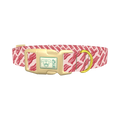Bacon Pattern Dog Collar - plastic gold