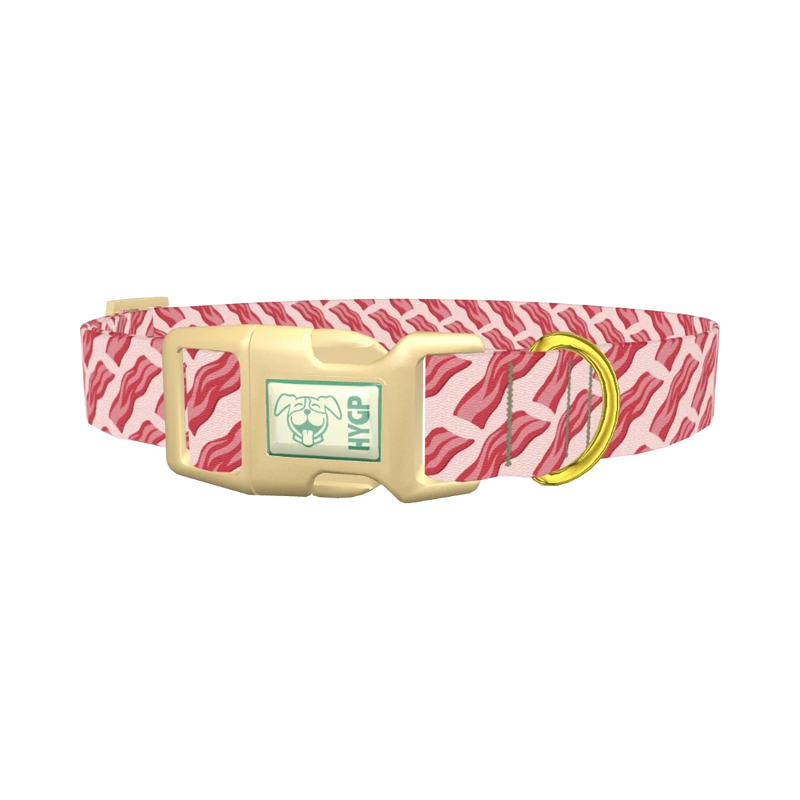 Bacon Pattern Dog Collar - plastic gold