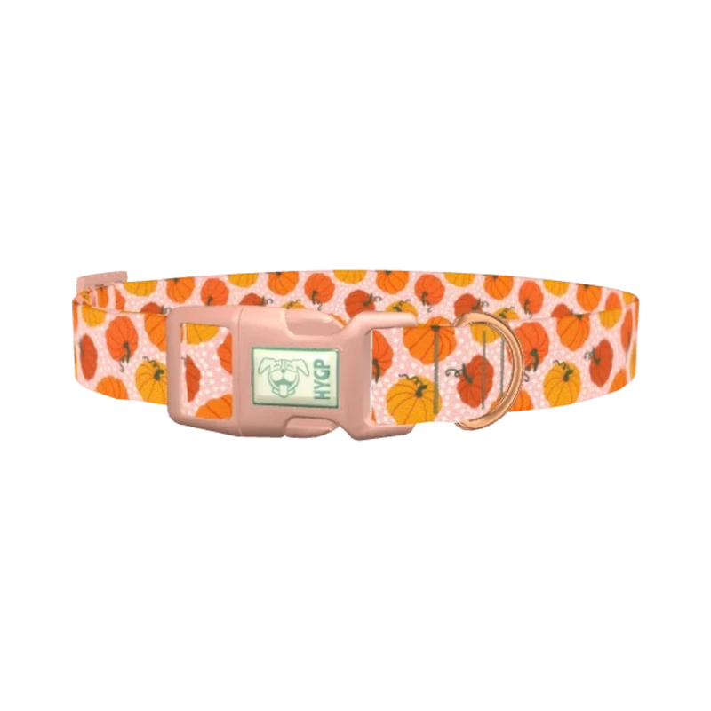 Halloween Pumpkin Dot Dog Collar - plastic rose gold
