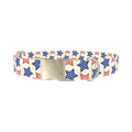 Striped Stars Dog Collar - metal silver
