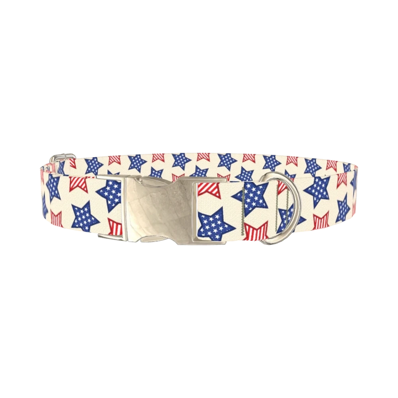 Striped Stars Dog Collar - metal silver