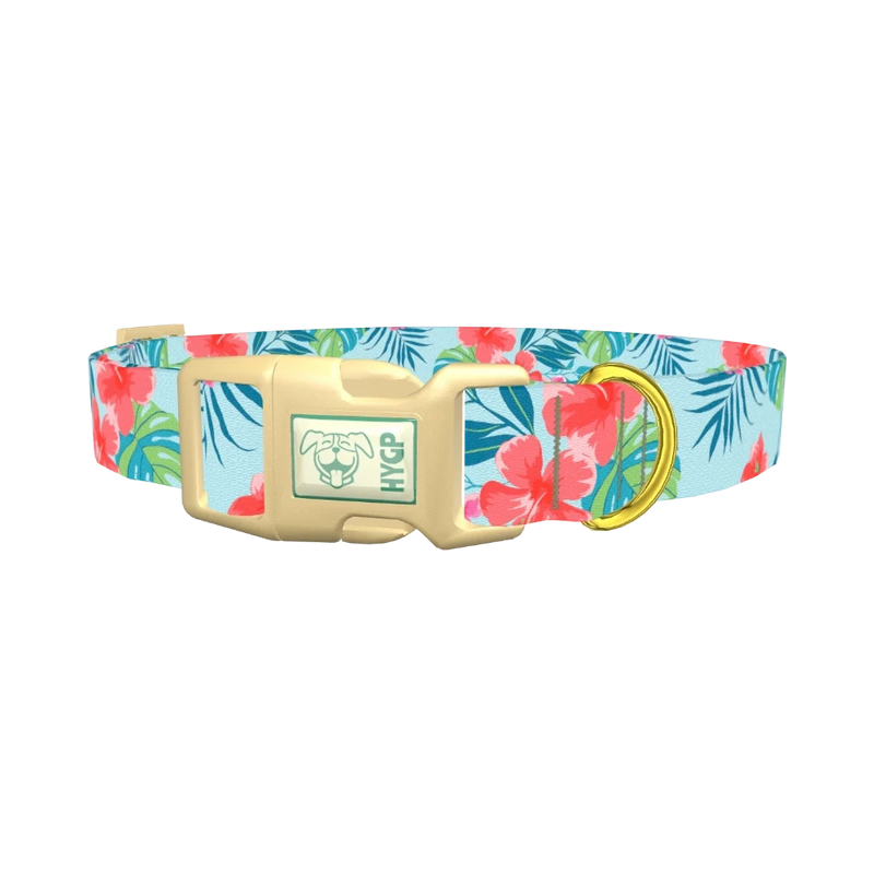Multi Floral Hibiscus Dog Collar - plastic gold
