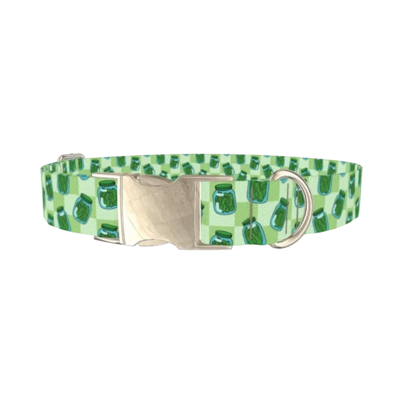 Pickle Jar Dog Collar - metal silver