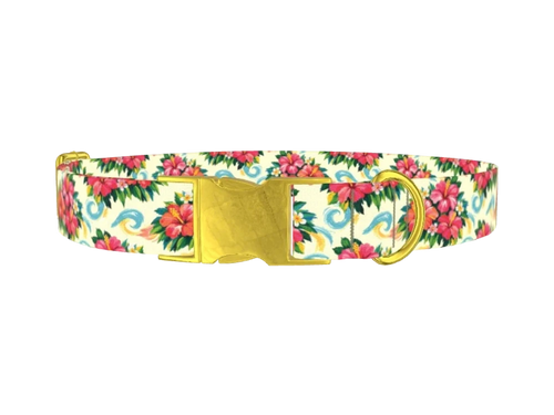 TRIBAL_StarsBrownYellowStripes
