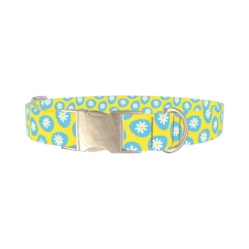 Blue Daisy Easter Egg Dog Collar - metal silver