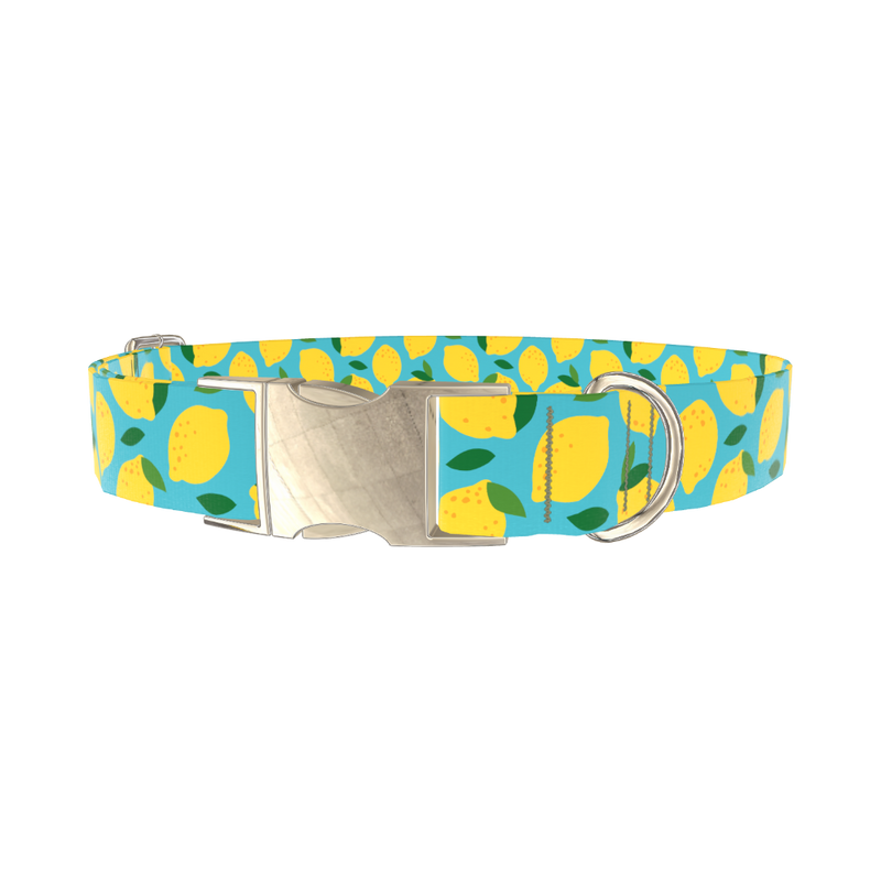 Blue Lemon Pattern Dog Collar - metal silver