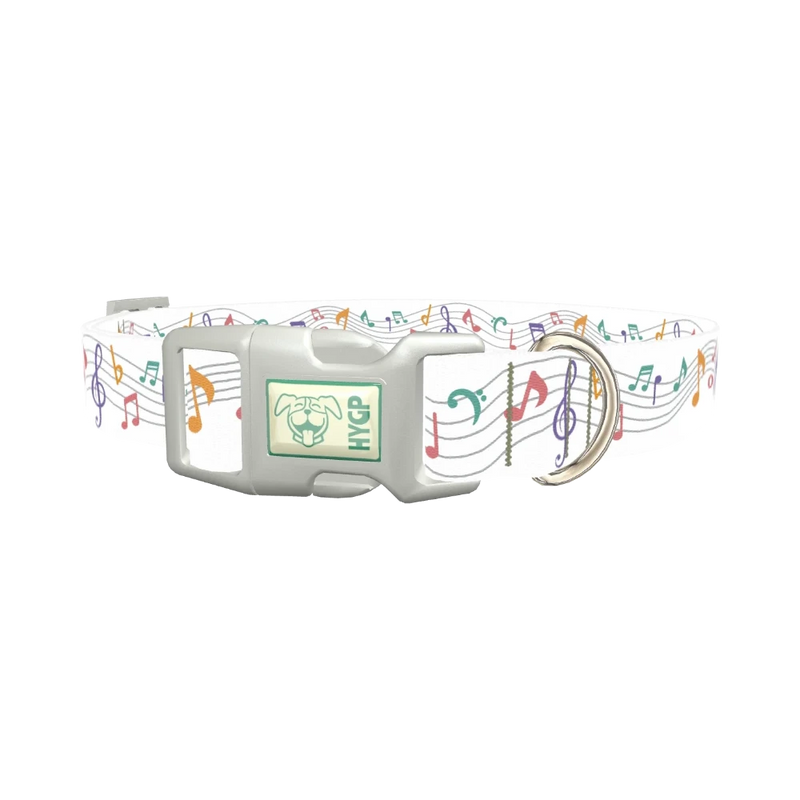 Colorful Music Notes Dog Collar - plastic silver