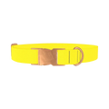 Yellow-Bellied Color Dog Collar - metal rose gold