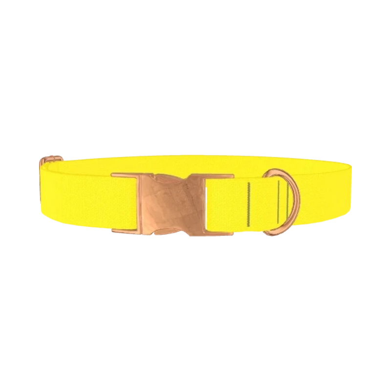 Yellow-Bellied Color Dog Collar - metal rose gold